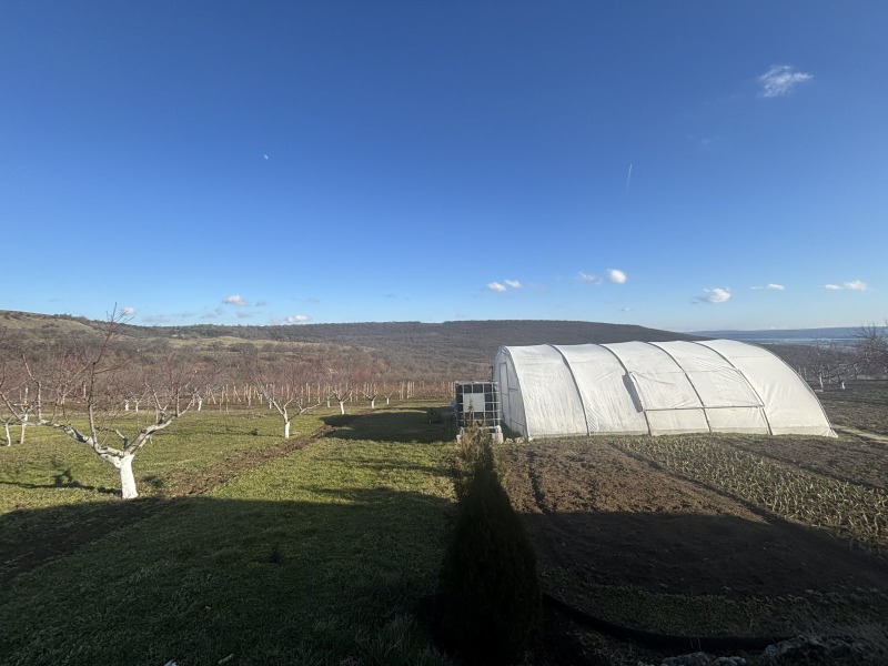 Продава КЪЩА, с. Калиманци, област Варна, снимка 13 - Къщи - 53281495