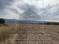 Продава ПАРЦЕЛ, град Пловдив, Индустриална зона - Юг • 562770 € / 1100682.45 лв. • 73299974 2