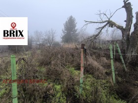 ����� ������� ������,���� ����, ��������