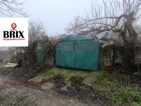 ����� ������� ������,���� ����, ��������