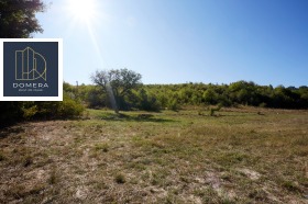 ������ ������� ������