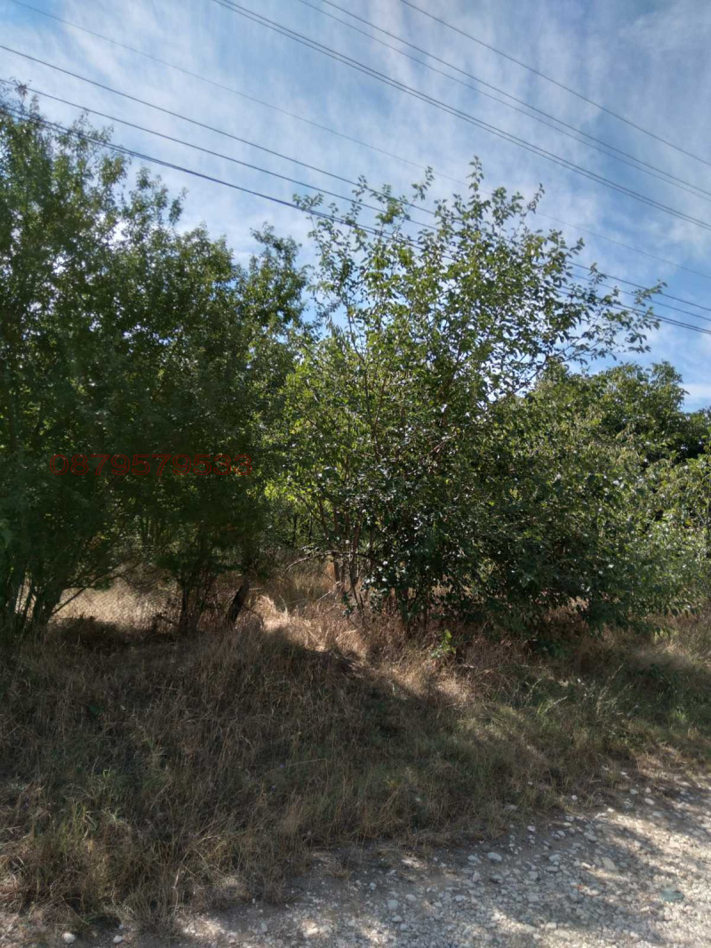 Продава КЪЩА, с. Търнак, област Враца, снимка 2 - Къщи - 52786379