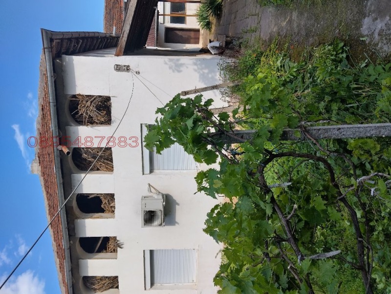 In vendita  Casa regione Vidin , Pokrajna , 300 mq | 18577482 - Immagine [14]