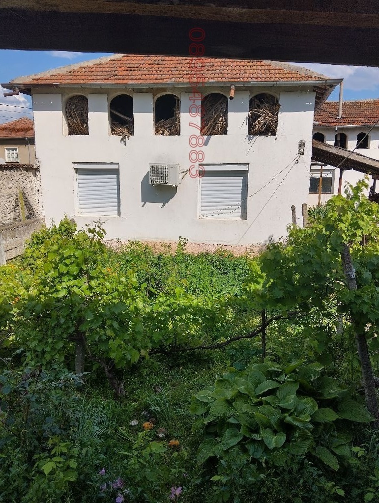 Zu verkaufen  Haus region Widin , Pokrajna , 300 qm | 26291221 - Bild [5]