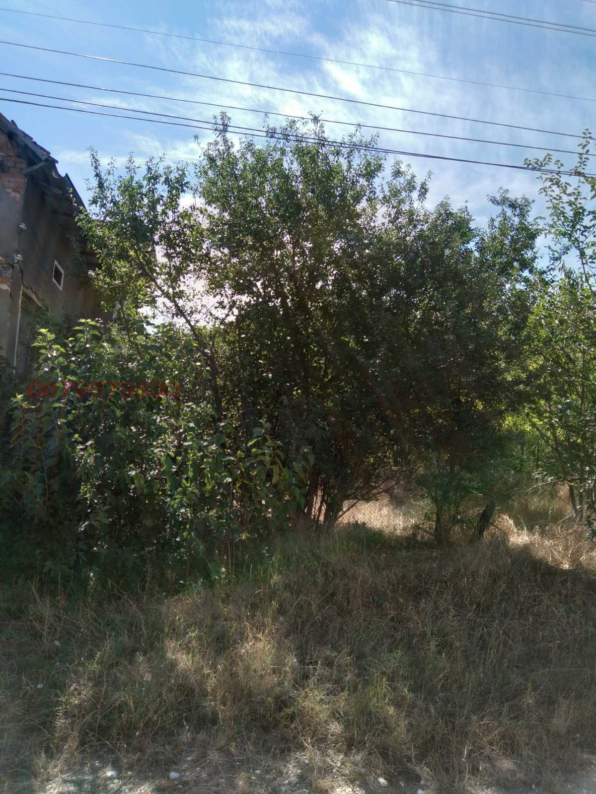 Продава КЪЩА, с. Търнак, област Враца, снимка 3 - Къщи - 53645811