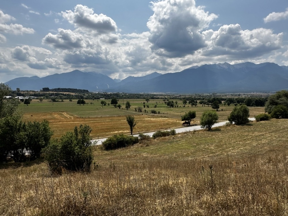 ������� ������ | Imot.bg � ����������� 8