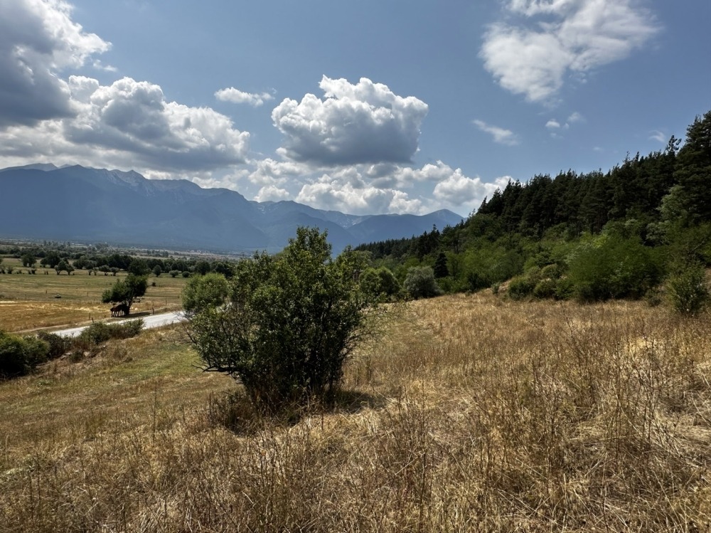 ������� ������ | Imot.bg � ����������� 5