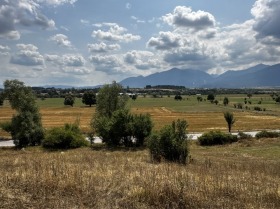 ������� ������ | Imot.bg � ����� ������ 7