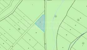 ����� ������� ������,�. ����� ������, ������ �����