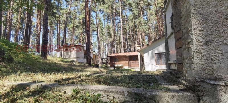 Na prodej  Vila oblast Pazardzhik , m-t Cigov čark , 38 m2 | 98886942 - obraz [5]