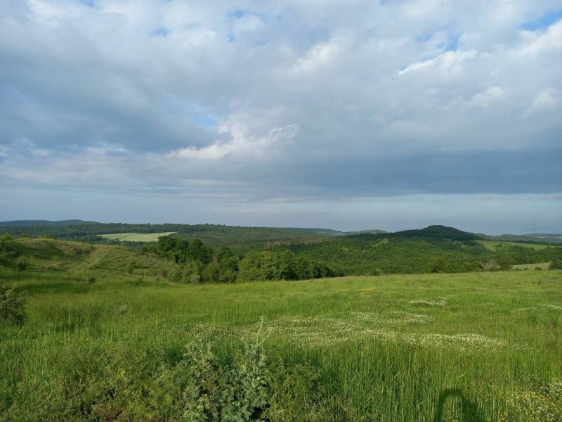 Продава  Парцел, област Бургас, с. Драчево • 17 500 EUR • ID 22349878 — holmes.bg - [1] 
