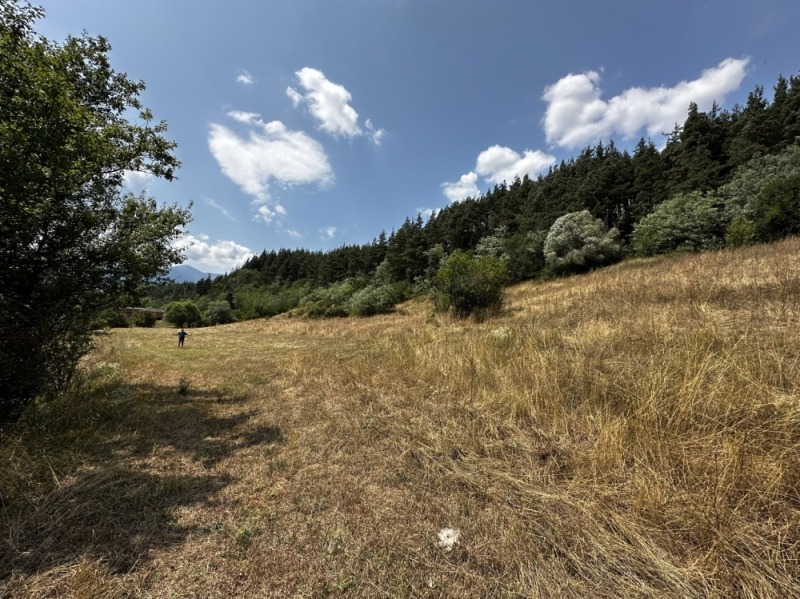 Продава ПАРЦЕЛ, гр. Разлог, област Благоевград, снимка 2 - Парцели - 52704593