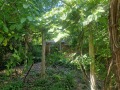 Продава КЪЩА, област Плевен, с. Тотлебен • 12000 € • 15004409 — Holmes.bg