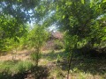 Продава КЪЩА, област Плевен, с. Тотлебен • 12000 € • 15004409 — Holmes.bg