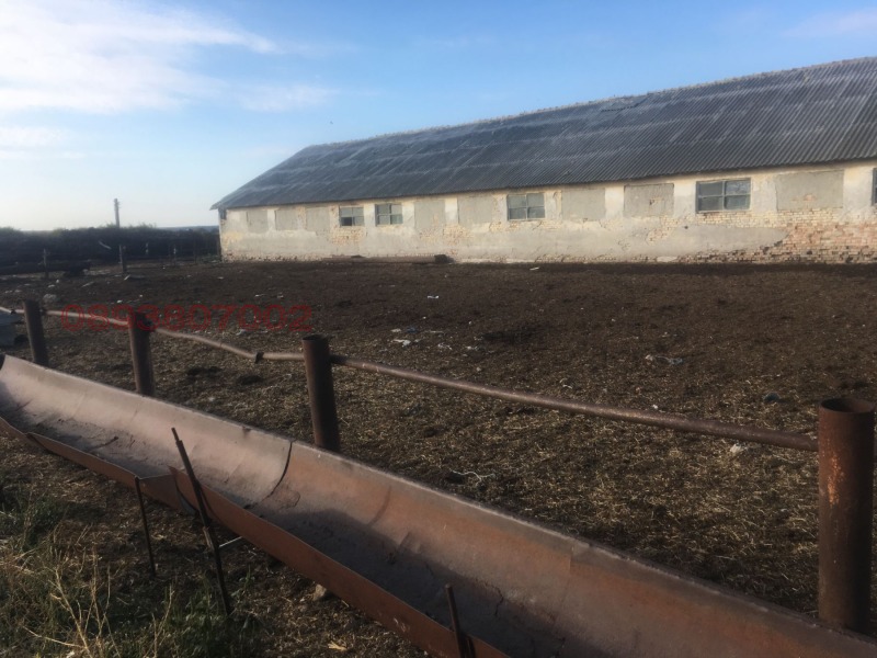 Na prodej  Průmyslová budova oblast Varna , Nikolaevka , 1290 m2 | 40346237 - obraz [5]
