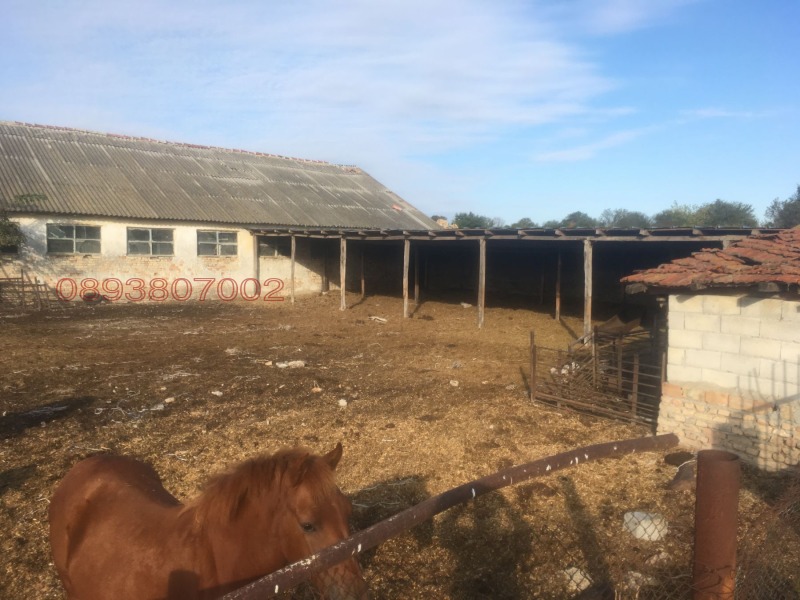 Na prodej  Průmyslová budova oblast Varna , Nikolaevka , 1290 m2 | 40346237 - obraz [4]