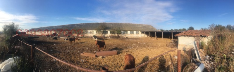 Na prodej  Průmyslová budova oblast Varna , Nikolaevka , 1290 m2 | 40346237 - obraz [6]