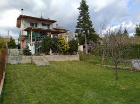 Hus v.z.Jarema, region Sofia