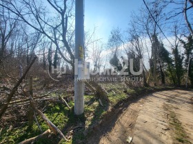 Plott Izgrev, Varna