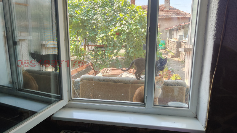 Продава ЗАВЕДЕНИЕ, с. Борисово, област Русе, снимка 14 - Заведения - 53094840