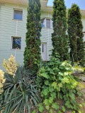 Продава ЕТАЖ ОТ КЪЩА, град София, гр. Нови Искър • 200000 € • 31229451 — Holmes.bg