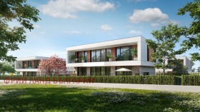 ����� ������� ����,���� ������, ���������