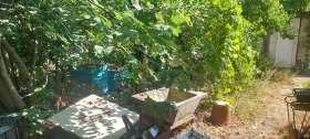 ������� ���� | Imot.bg � ����� ������ 16