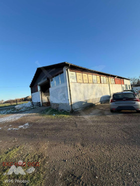 ����� ������� ������,��. ��������, ������ �������