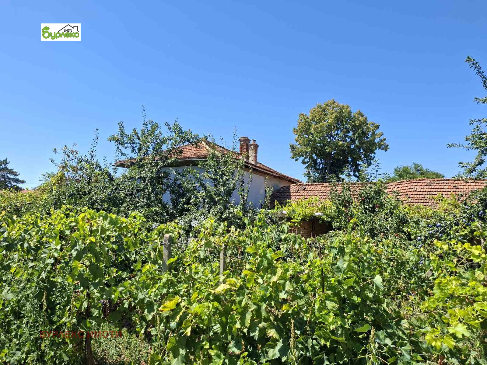 Продава КЪЩА, с. Красимир, област Варна, снимка 2 - Къщи - 55936227
