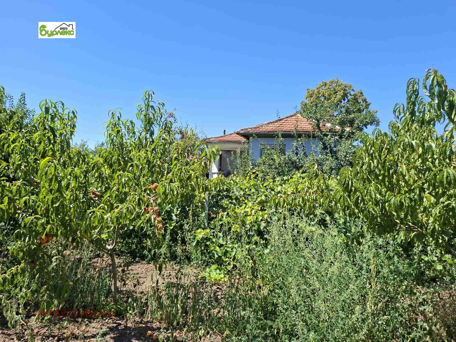 Продава КЪЩА, с. Красимир, област Варна, снимка 3 - Къщи - 55936227