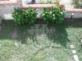 Продава КЪЩА, гр. Балчик, област Добрич, снимка 11