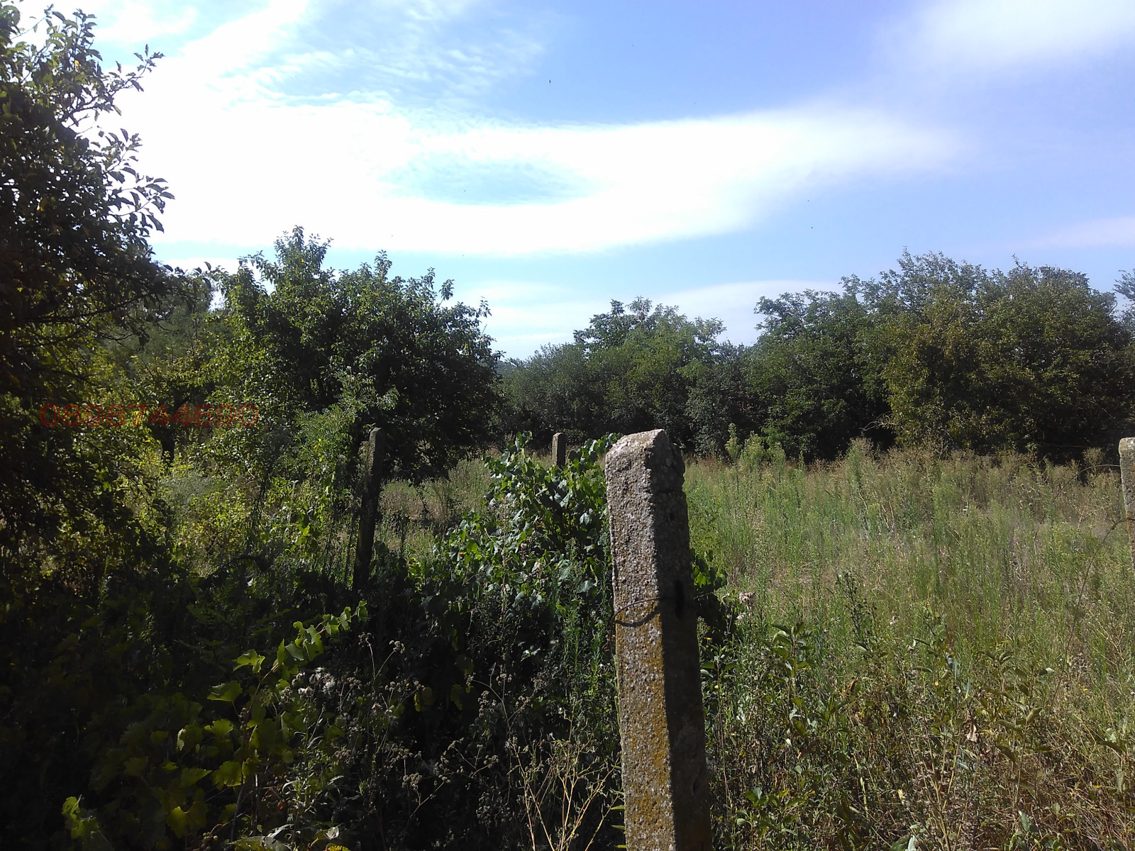 ������� ���� | Imot.bg � ����������� 5