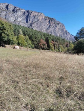 Complot Zgorigrad, regiunea Vratsa 1