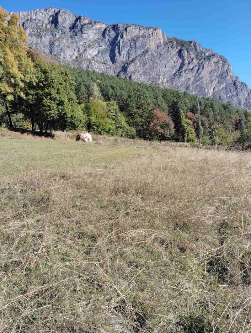 De vânzare  Complot regiunea Vratsa , Zgorigrad , 2300 mp | 41003692 - imagine [4]