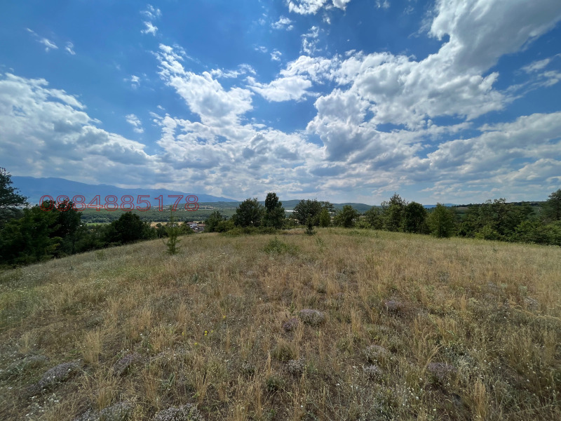 Продава ЗЕМЕДЕЛСКА ЗЕМЯ, с. Пчелин, област София област, снимка 7 - Земеделска земя - 52784705