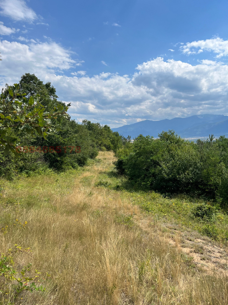 Продава ЗЕМЕДЕЛСКА ЗЕМЯ, с. Пчелин, област София област, снимка 4 - Земеделска земя - 52784705