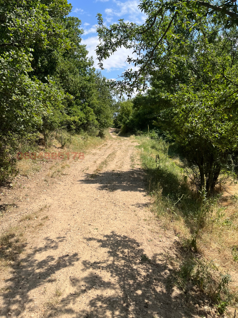 Продава ЗЕМЕДЕЛСКА ЗЕМЯ, с. Пчелин, област София област, снимка 13 - Земеделска земя - 52784705