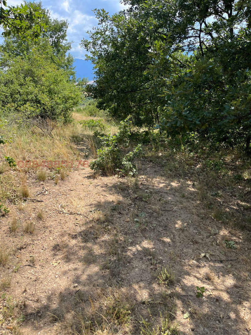 Продава ЗЕМЕДЕЛСКА ЗЕМЯ, с. Пчелин, област София област, снимка 5 - Земеделска земя - 52784705