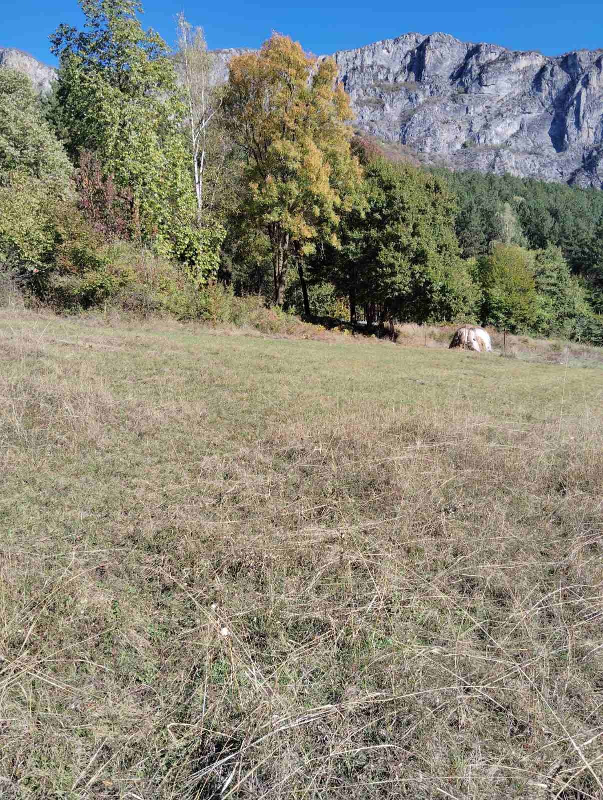 Продава ПАРЦЕЛ, с. Згориград, област Враца, снимка 5 - Парцели - 54169888