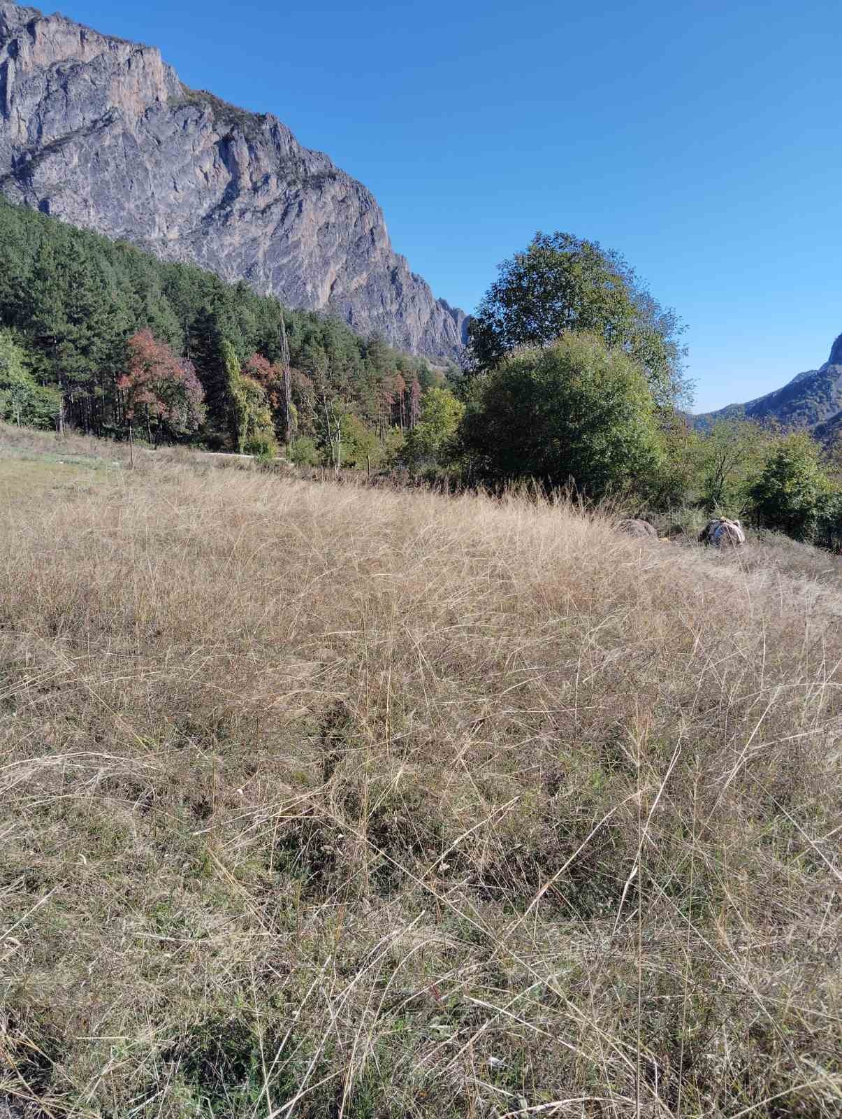 Продава ПАРЦЕЛ, с. Згориград, област Враца, снимка 3 - Парцели - 54169888