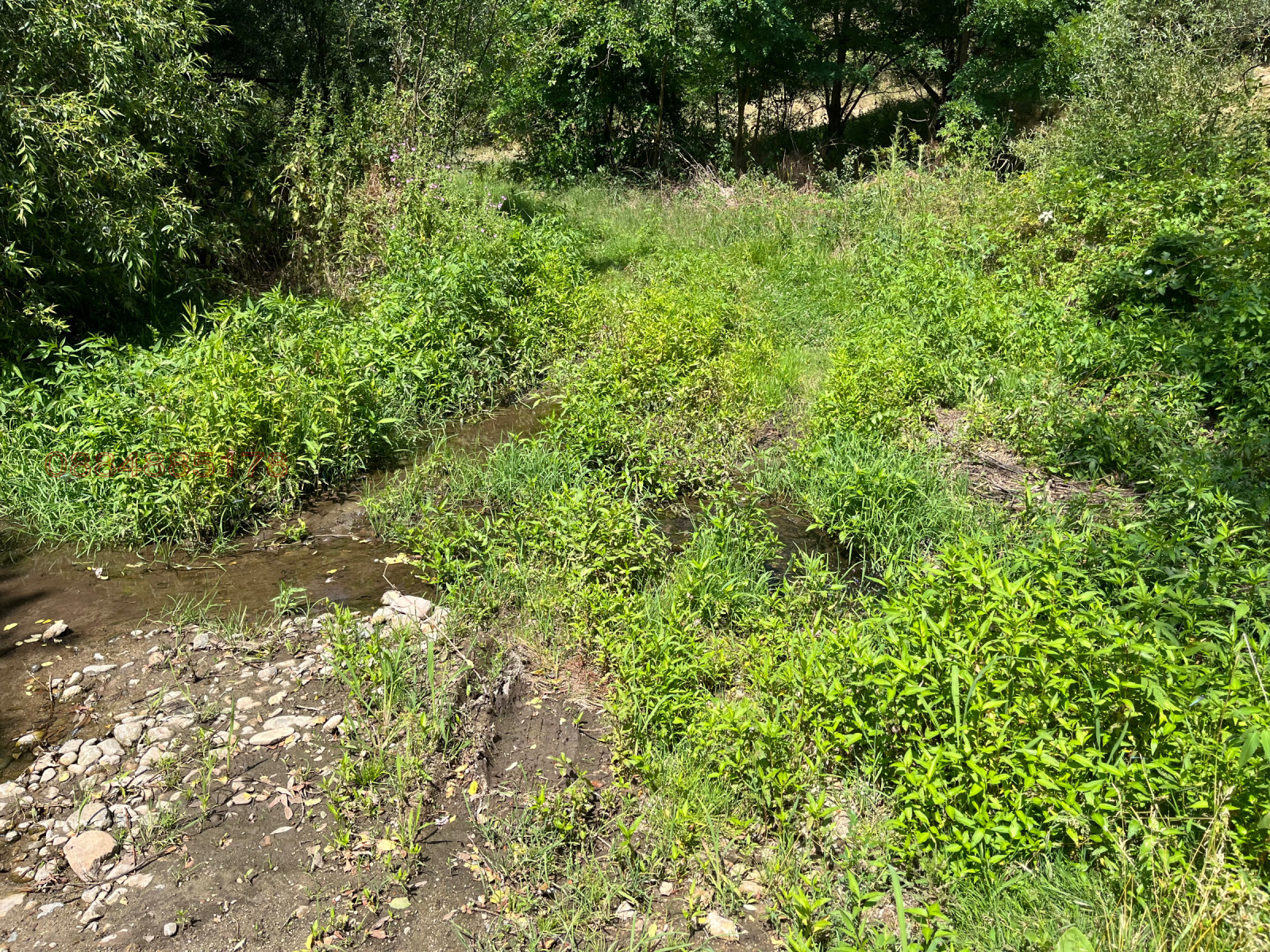 Продава ЗЕМЕДЕЛСКА ЗЕМЯ, с. Пчелин, област София област, снимка 15 - Земеделска земя - 53933011