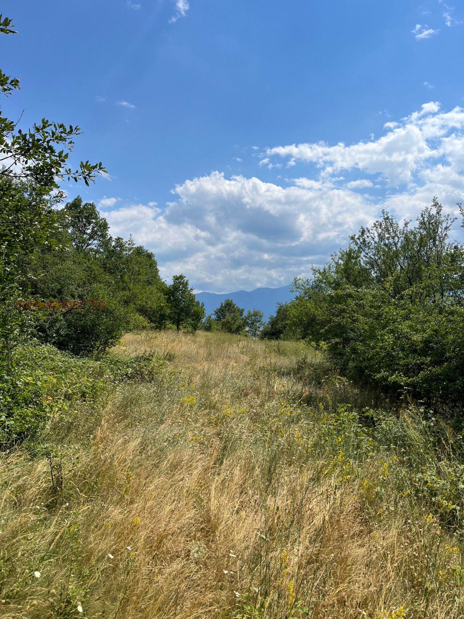 Продава ЗЕМЕДЕЛСКА ЗЕМЯ, с. Пчелин, област София област, снимка 2 - Земеделска земя - 53933011