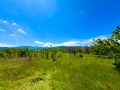 Продава ПАРЦЕЛ, с. Брестник, област Пловдив, снимка 3
