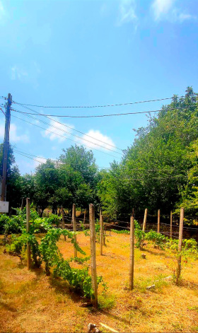 Ev Kameno pole, bölge Vratsa 3