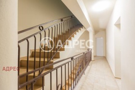 ������ ������� �����