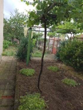 ������� ���� | Imot.bg � ����������� 11