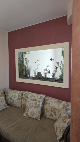 ������� ���� | Imot.bg � ����� ������ 11