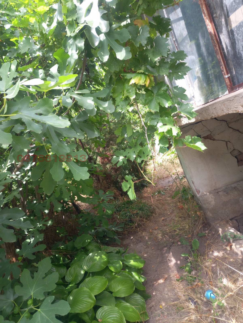 Продава КЪЩА, с. Михайлово, област Враца, снимка 2 - Къщи - 52922101