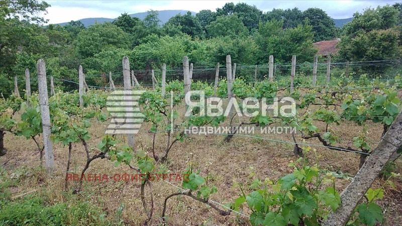 Продаја  Кућа регион Бургас , Изгрев , 110 м2 | 66283445 - слика [6]