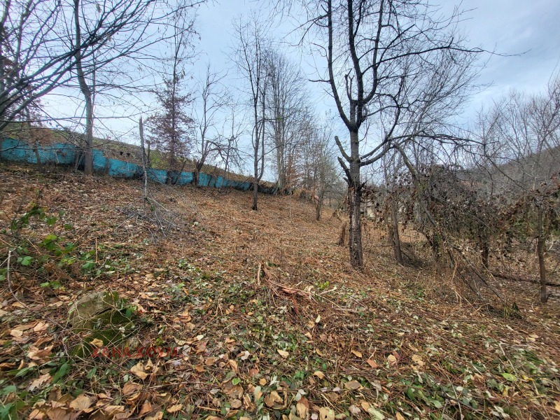 Продава ПАРЦЕЛ, гр. Троян, област Ловеч, снимка 5 - Парцели - 52791679